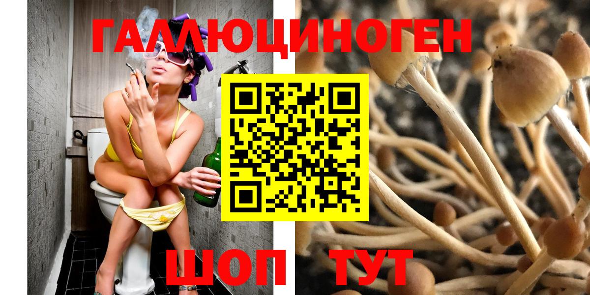 Псилоцибиновые грибы мухоморы  где купить наркоту  Альметьевск  Вход с VPN 